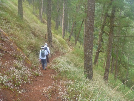 bacuyan trail